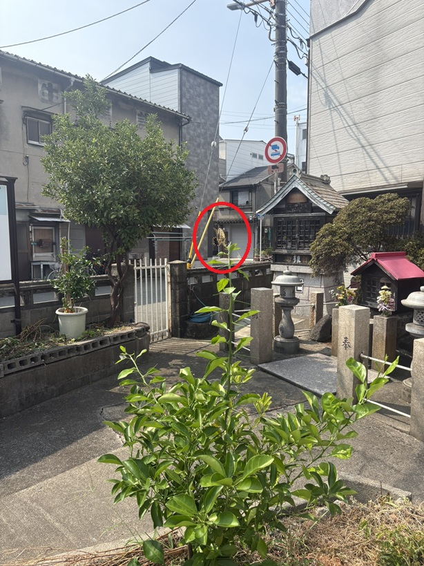 250829.JPEG