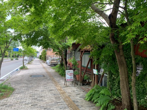 5AFB6F24-4E74-4D86-AF97-D2CB67BACB49.jpeg