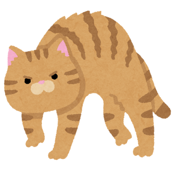 IMG_0713123.PNG