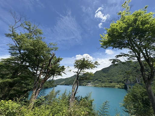 IMG_1033123.JPEG