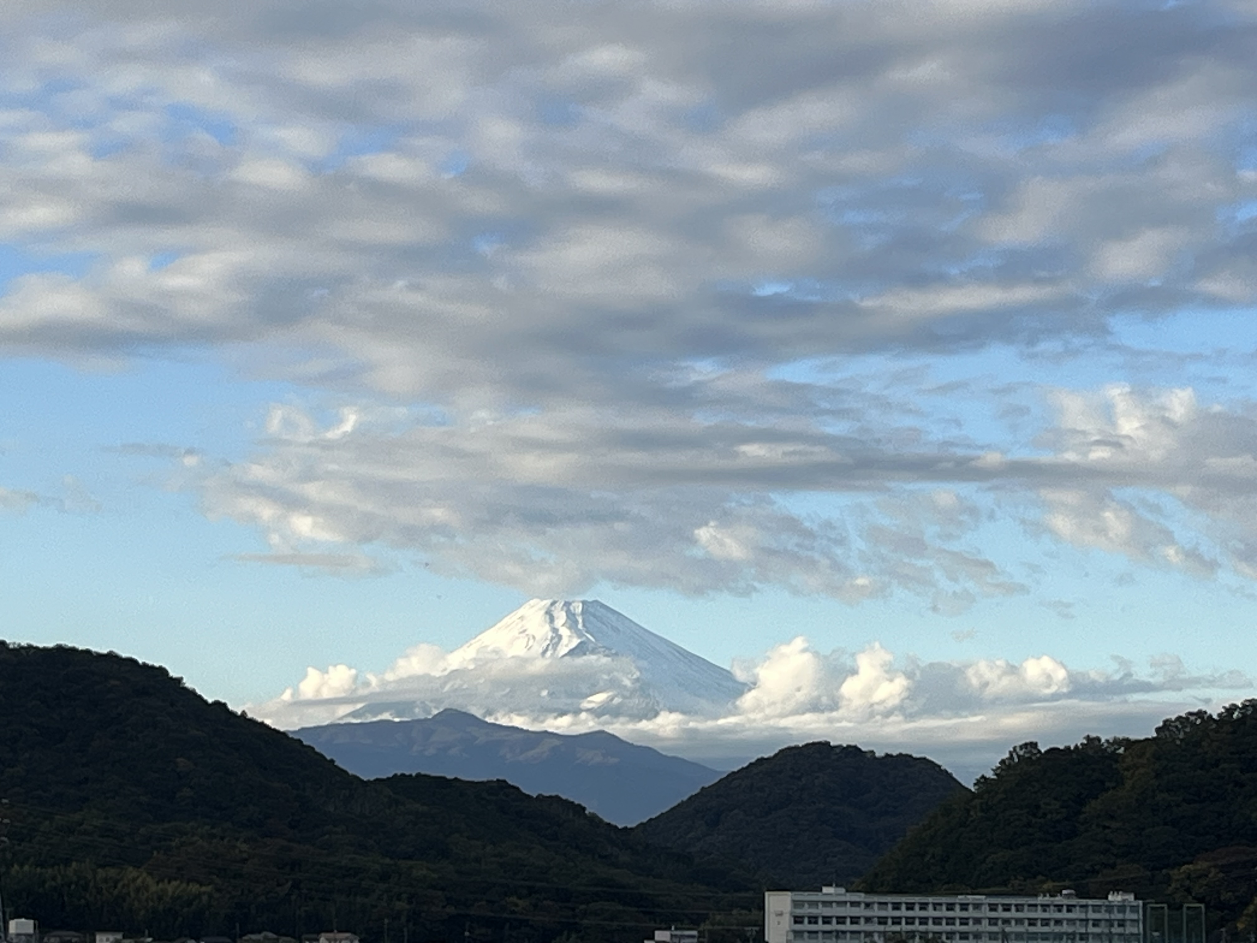 岡鹿之助、信号台、高級画版の一部、版上サイン入、新品額